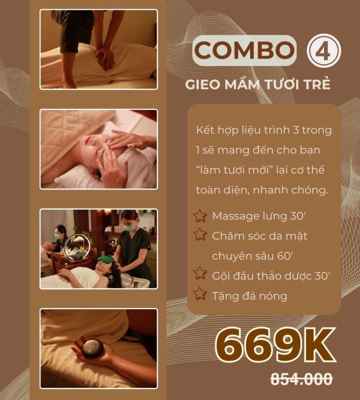 Combo 4 nhà Mầm gieo mầm tươi trẻ