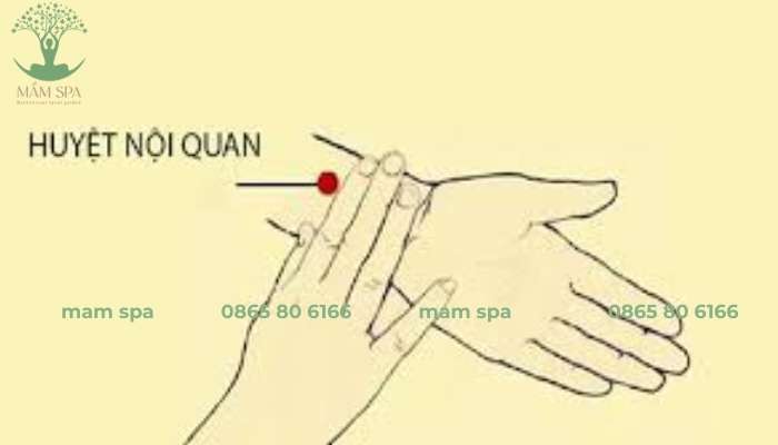 Nội quan là huyệt Lạc của kinh Tâm bào