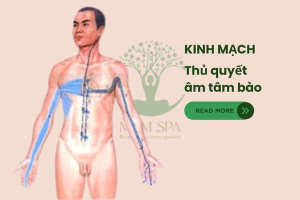 ảnh mô tả thủ quyết âm tâm bào