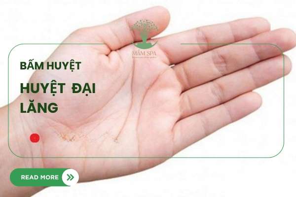 ảnh mô tra huyệt Đại Lăng