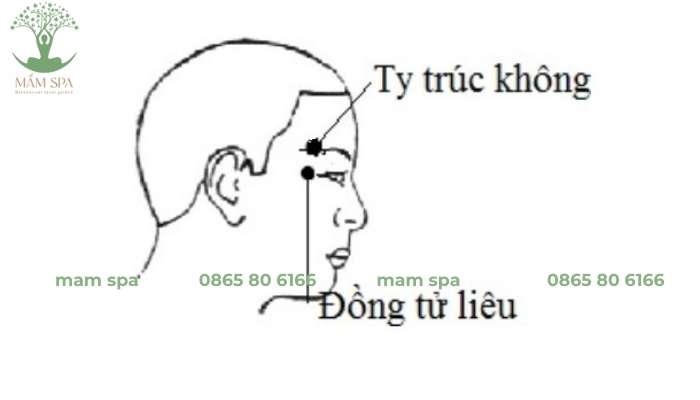 Một trong những huyệt then chốt trên kinh mạch này