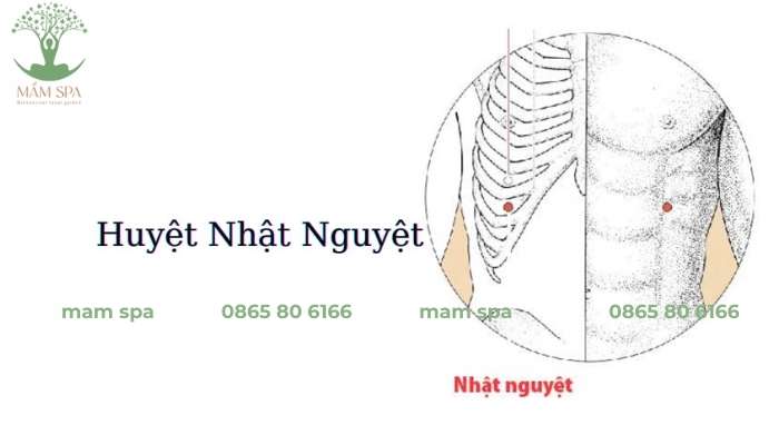 Huyệt Mộ của kinh Đởm, nơi tinh khí của kinh mạch tụ lại