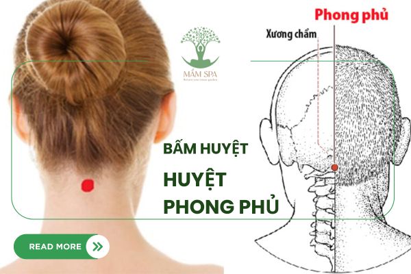 ảnh mô tả huyệt Phong Phú