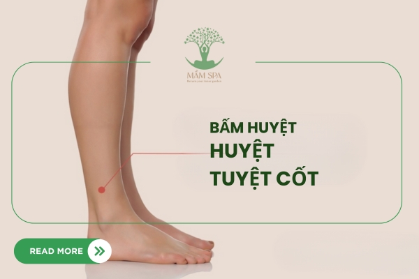 ảnh mô tả huyệt Tuyệt Cốt