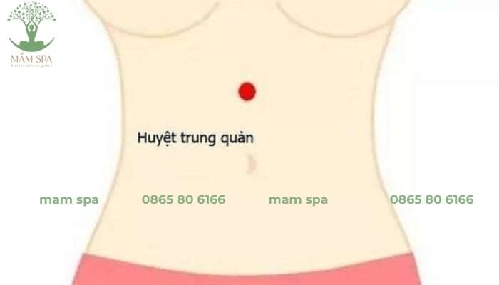 Kết hợp với huyệt Trung Quản để giảm viêm loát dạ dày