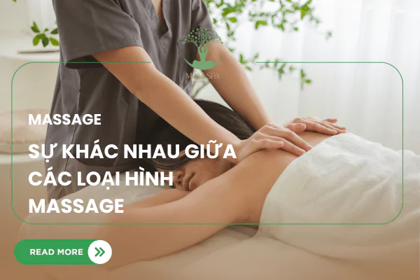 Massage: Bản Giao Hưởng Của Sự Chạm - Khám Phá Thế Giới Liệu Pháp Đa Dạng