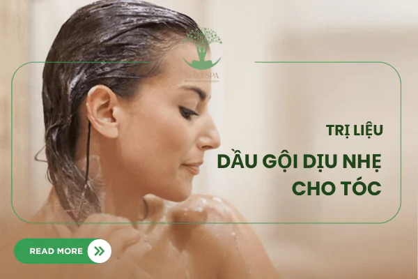 Sức khỏe, đời sống:  Cach-su-dung-dau-xa-toc-thumb.png