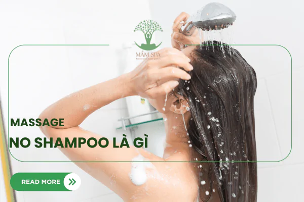 no-shampoo-la-gi-thumb-min.png.webp