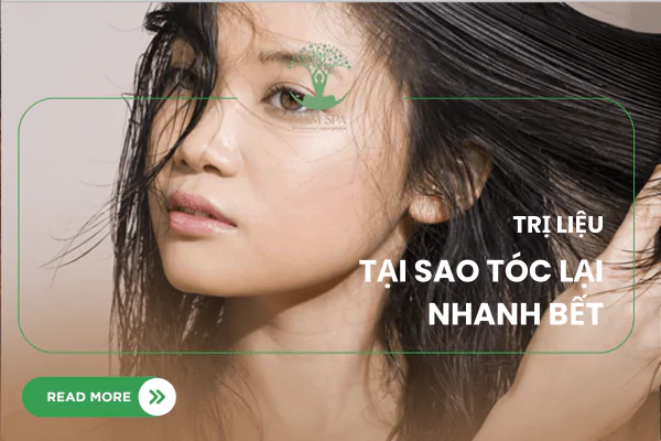 Tóc Dầu, Tóc Bết: Đâu Là "Thủ Phạm"?